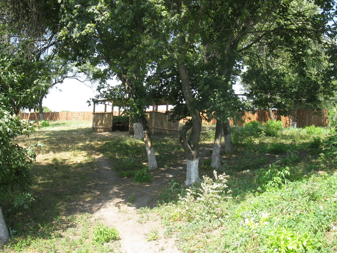 Виды оснасток для карповой и фидерной ловли - Форум